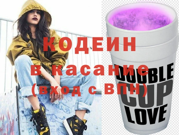 гашик Алексин