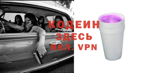 гашик Алексин