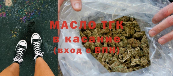 гашик Алексин
