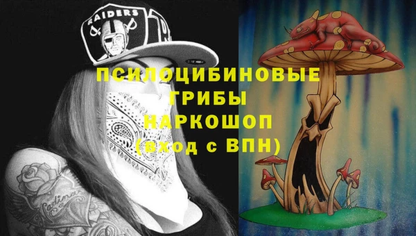 круглые Алзамай