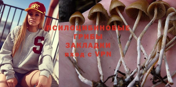 гашик Алексин