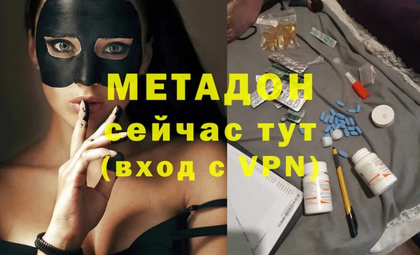 гашик Алексин