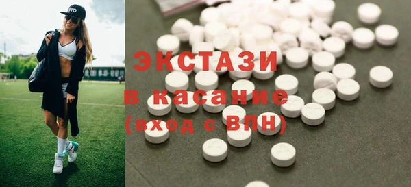 гашик Алексин