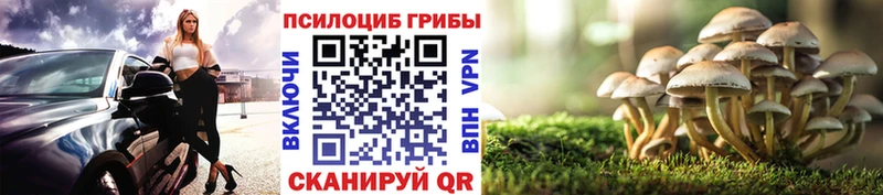 Галлюциногенные грибы мицелий  где продают наркотики  мориарти клад  Саранск 